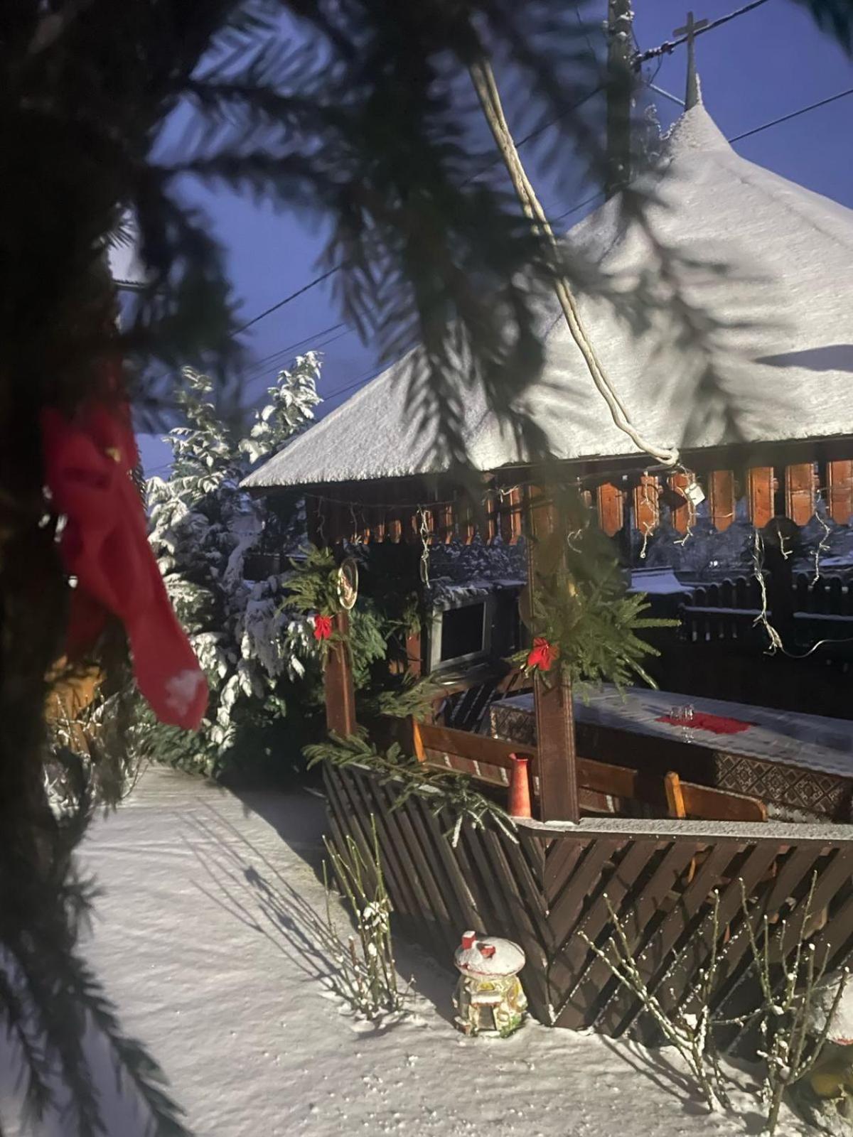 Casa Ionela Petreus Hotel Пойениле Изей Екстериор снимка