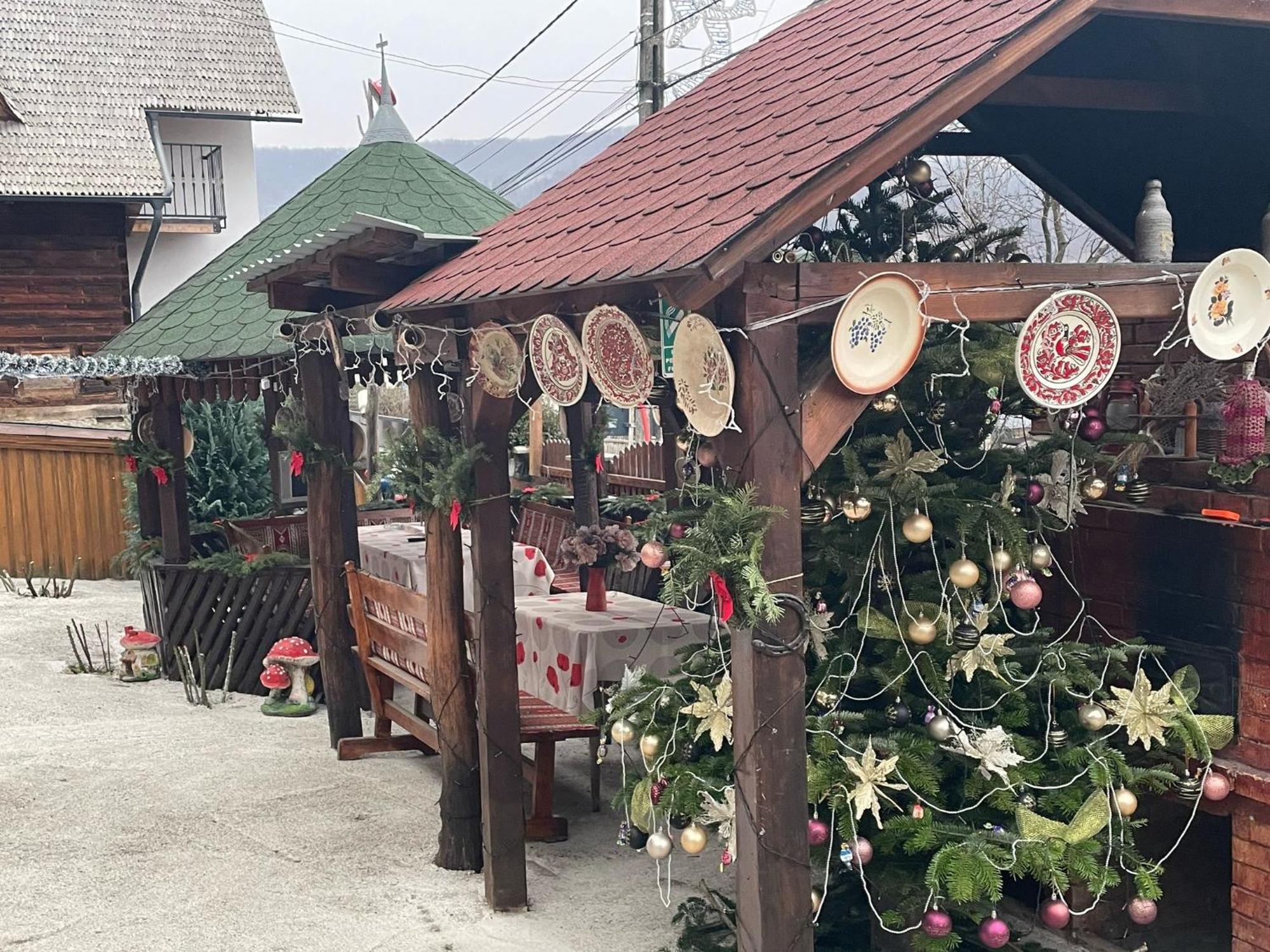 Casa Ionela Petreus Hotel Пойениле Изей Екстериор снимка