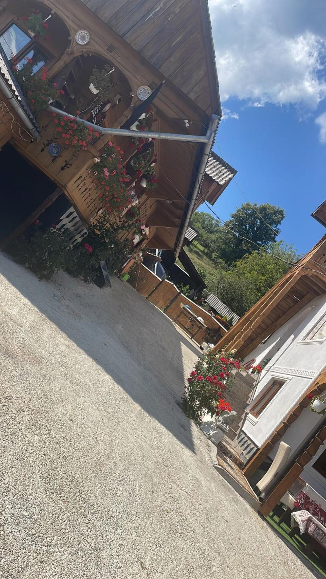 Casa Ionela Petreus Hotel Пойениле Изей Екстериор снимка