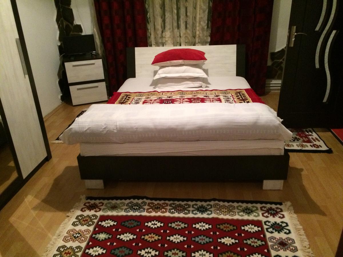 Casa Ionela Petreus Hotel Пойениле Изей Екстериор снимка