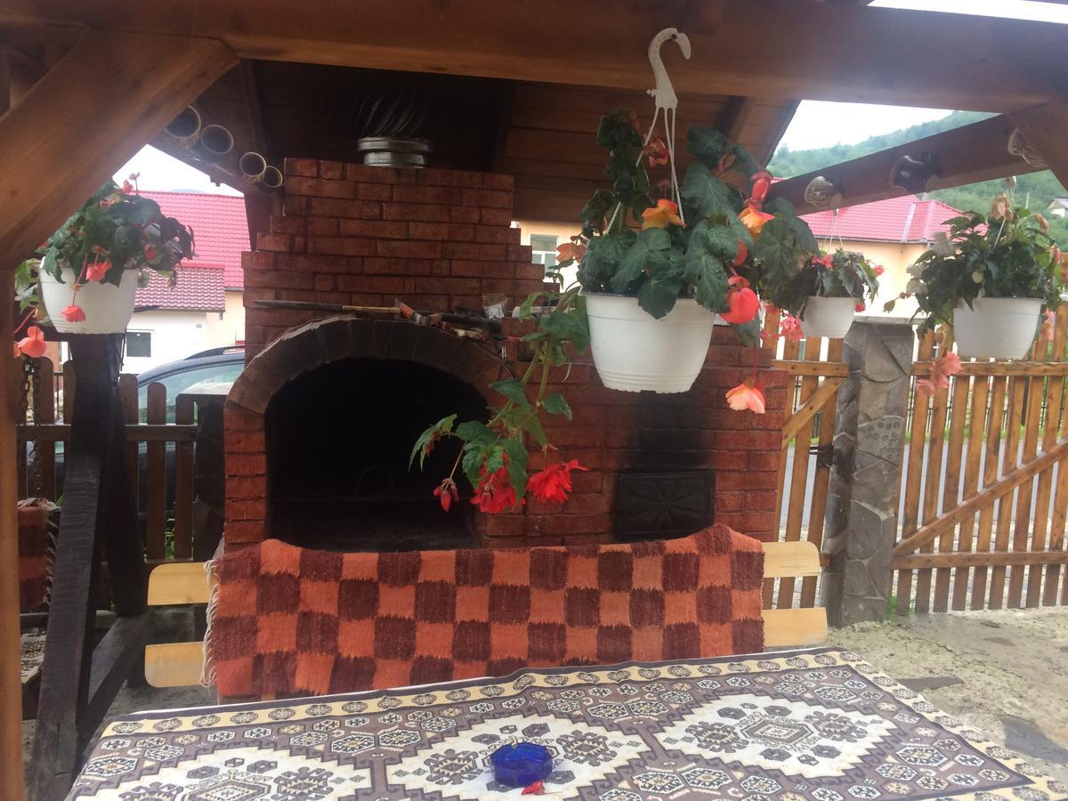 Casa Ionela Petreus Hotel Пойениле Изей Екстериор снимка